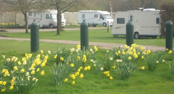 Bridge Villa Camping and Caravan Park — Photo 2