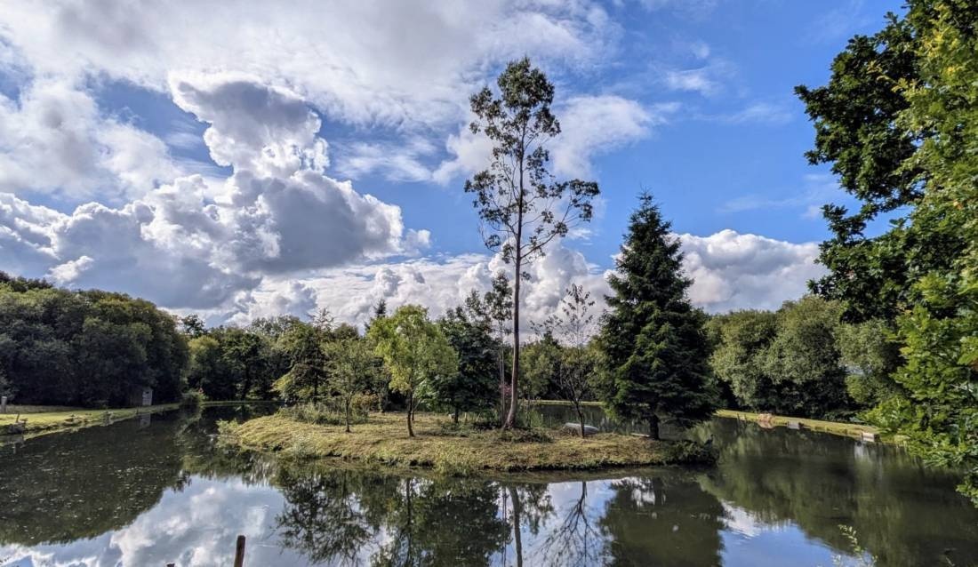 Llandyfan Camping — Sítio de acampamento in Carmarthenshire