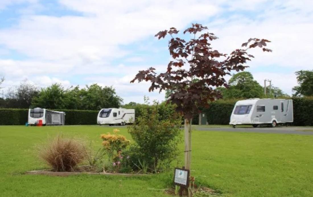 Westbrook Park — Camping in Little Hereford, Ludlow, Shropshire