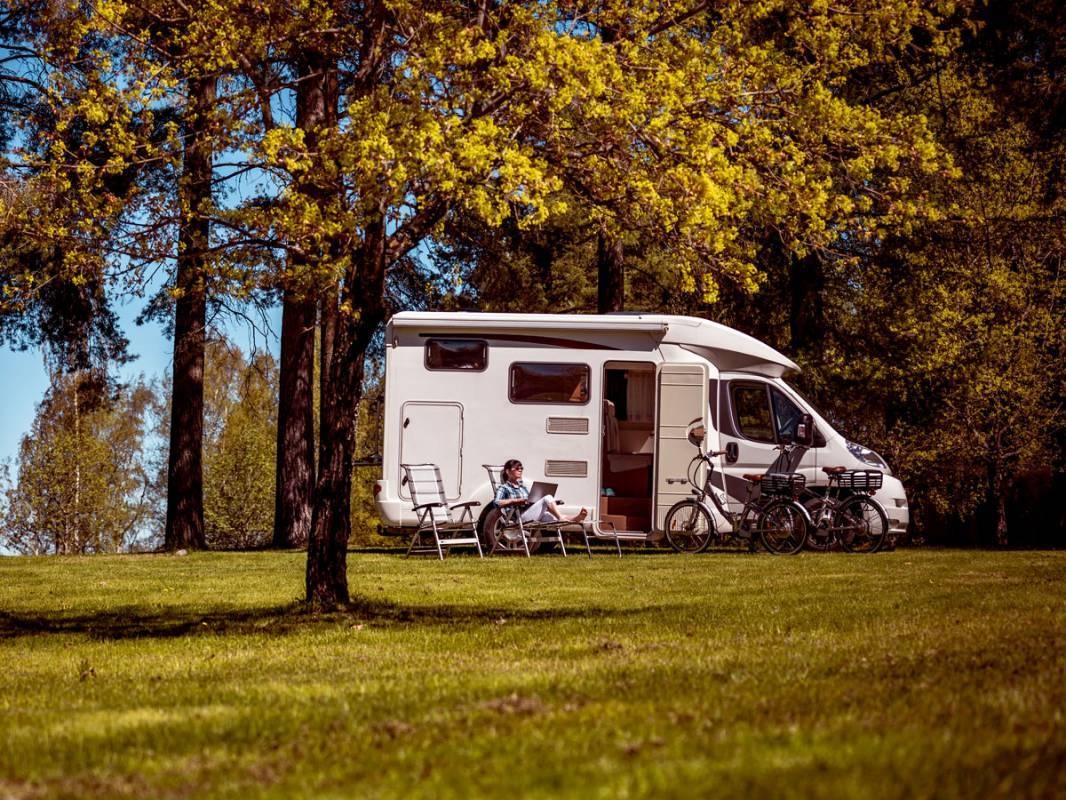 Alpine Grove Touring Park — Camping in Forton / Chard / Somerset / England