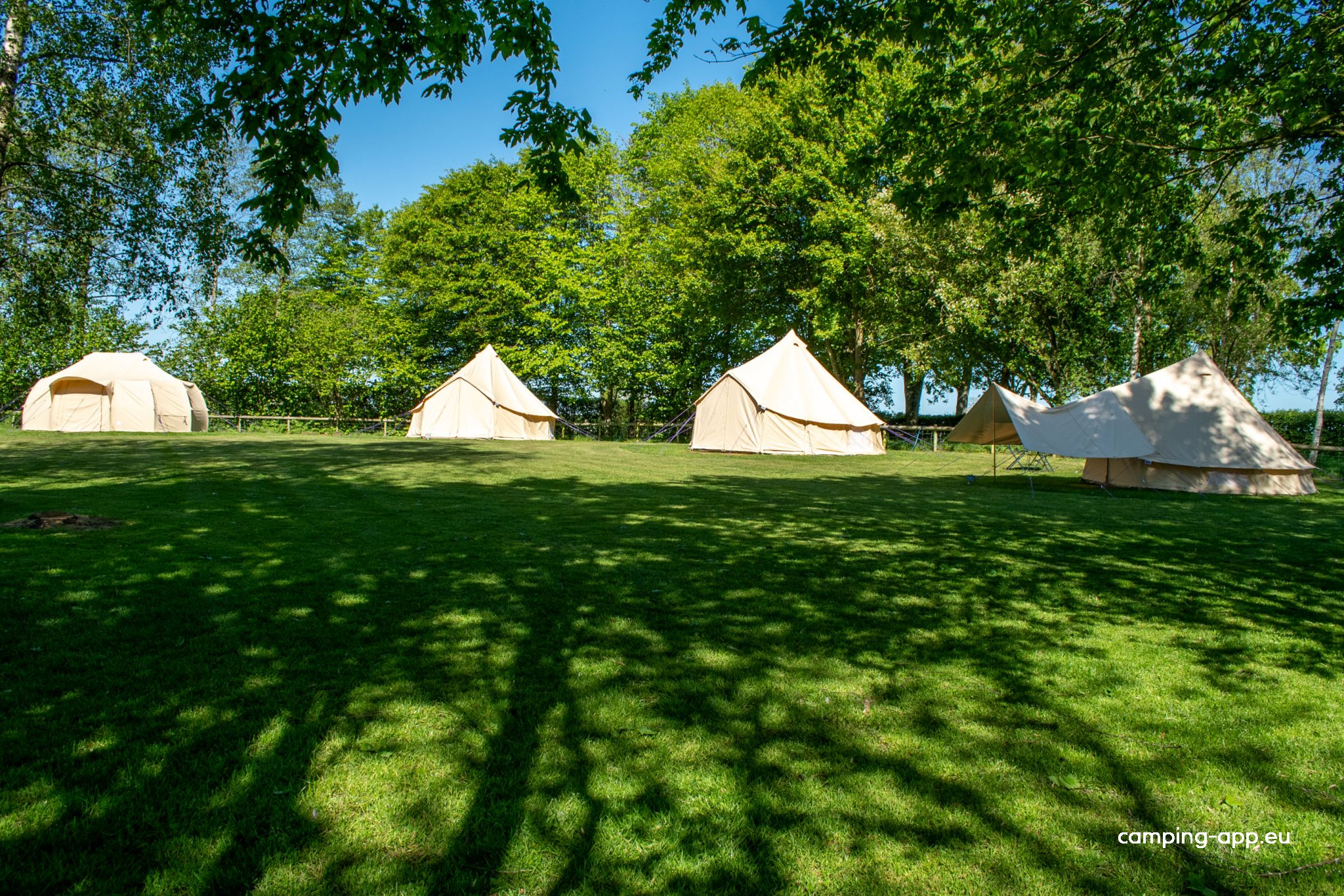 Piccadilly Caravan Park — Foto 6