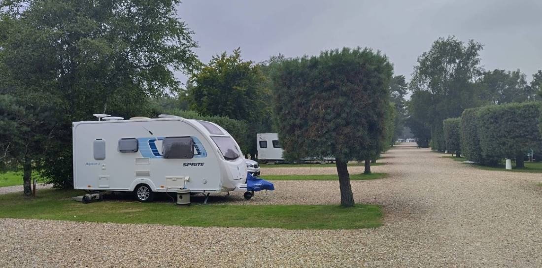 Wareham Forest Tourist Park — Sítio de acampamento in Wareham  Dorset