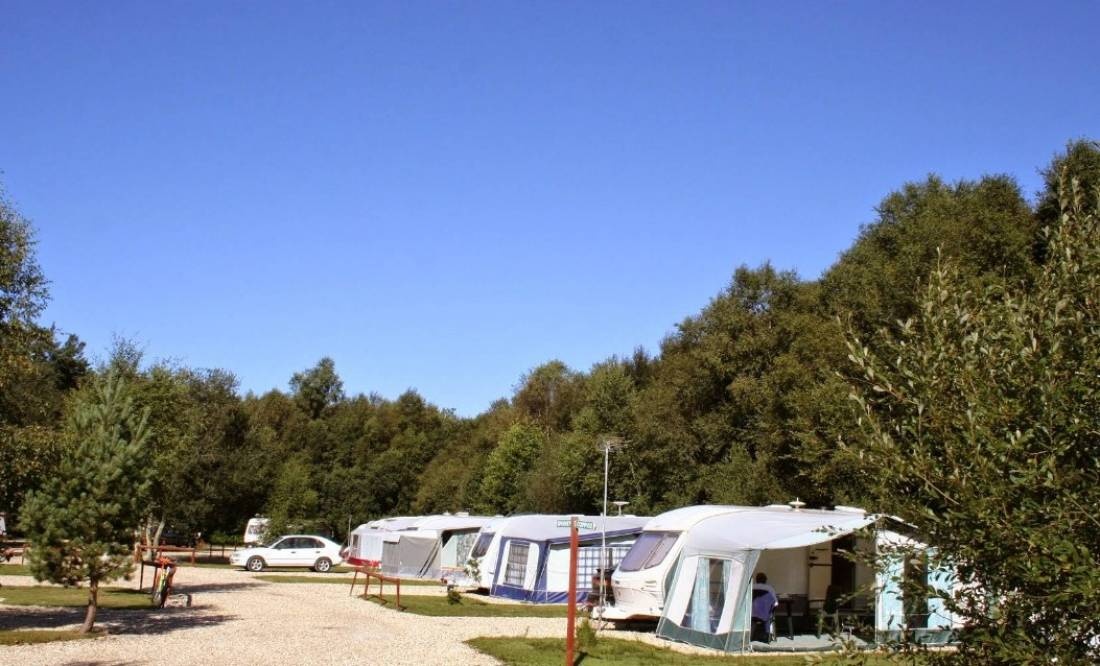 Wareham Forest Tourist Park — Camping in Wareham  Dorset
