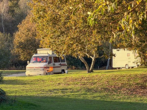 Holmsley Campsite — Photo 2