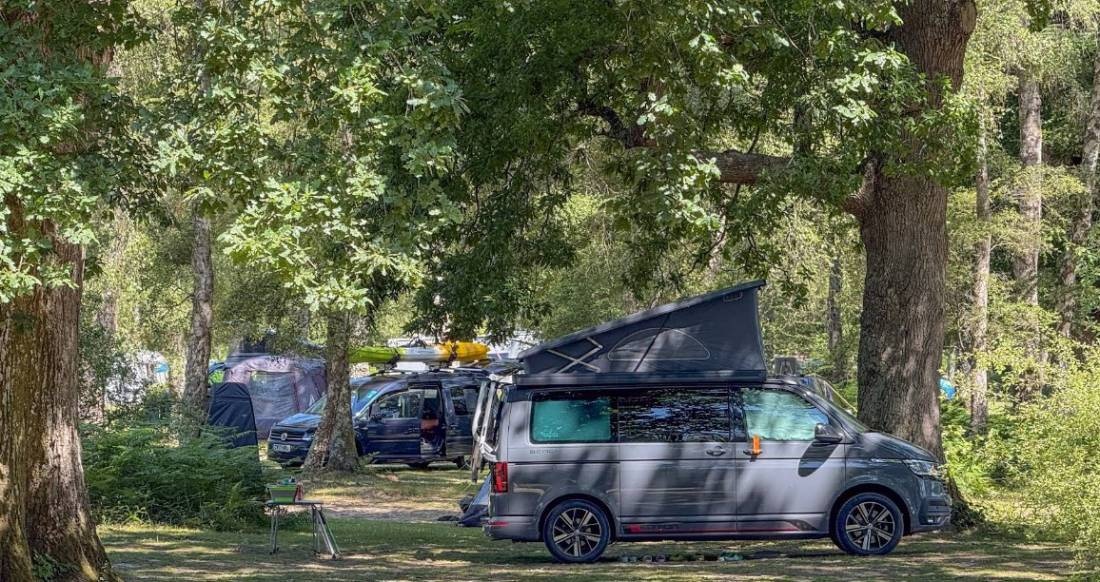Hollands Wood Campsite — Campingplads in New Forest / Hampshire 
