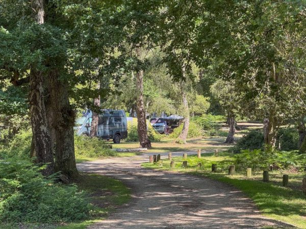 Hollands Wood Campsite — Foto 3