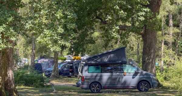 Hollands Wood Campsite