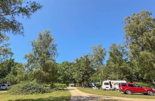 Hollands Wood Campsite — Photo 3