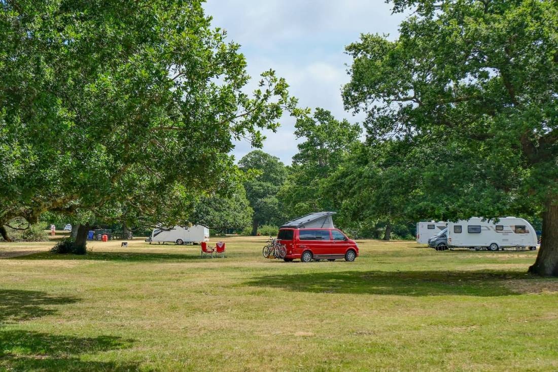 Ashurst Campsite — Місце для кемпінгу in New Forest / Ashurst