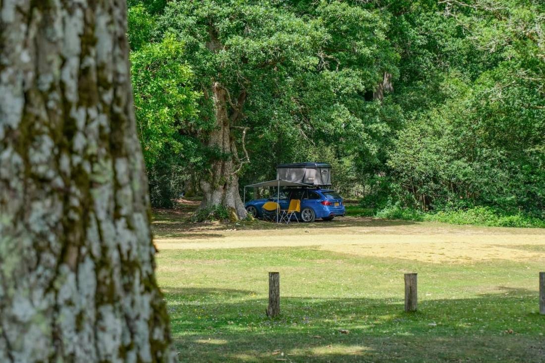 Ashurst Campsite — Campingplats in New Forest / Ashurst