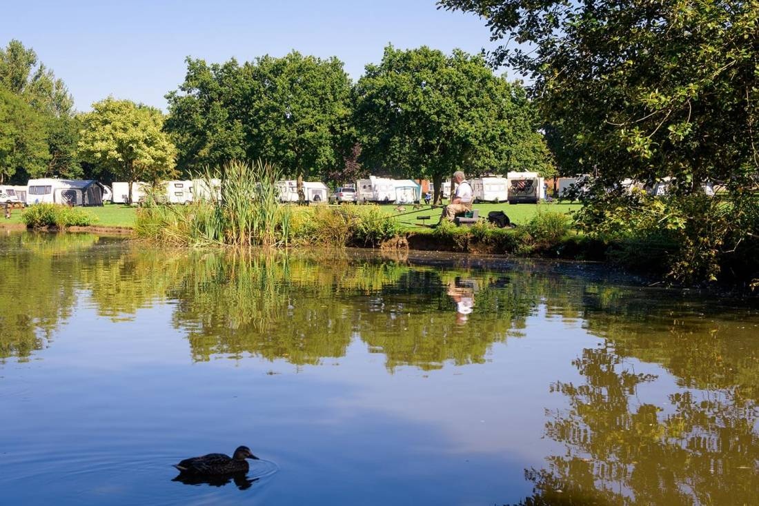 Goosewood Holiday Park — Sítio de acampamento in Sutton-on-the-Forest / York 