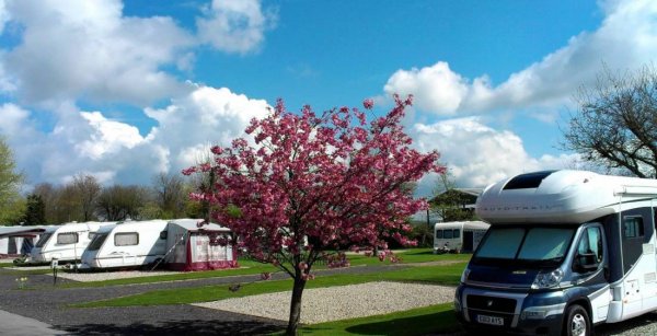 Wombleton Caravan Park — Photo 2