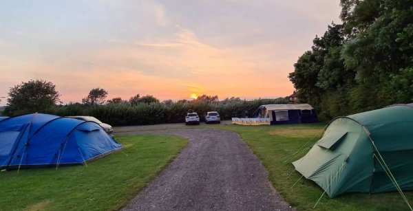 Flower of May — Photo 2