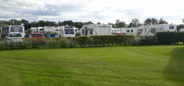 Flower of May — Photo 4