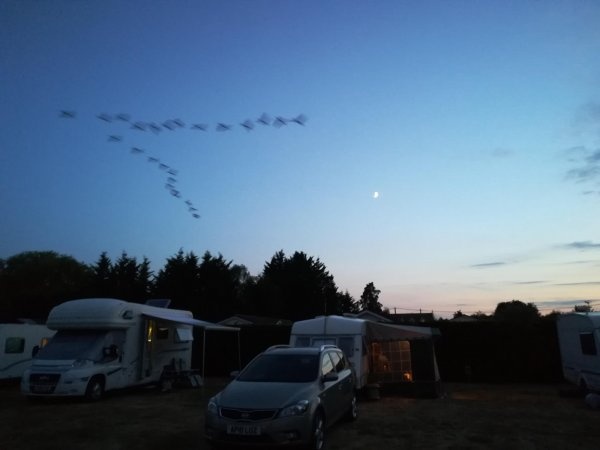 Willowmere Caravan Park — Campingplass in Little Cornard Sudbury