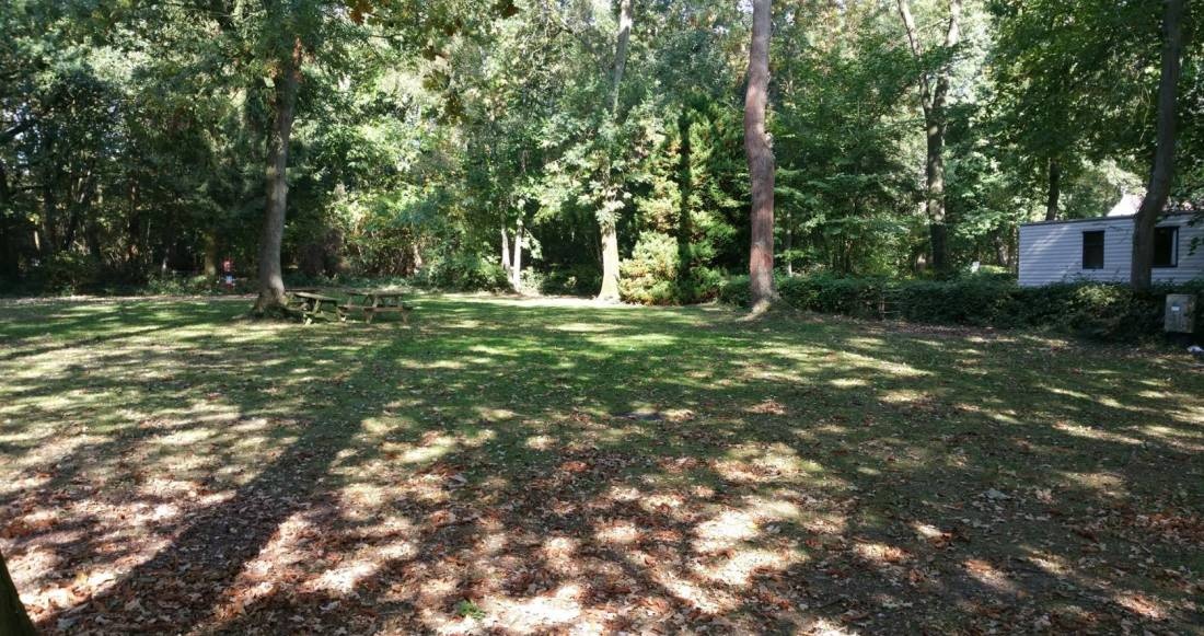 Broadland Naturist Camping — Campingplats in Stoke Holy Cross