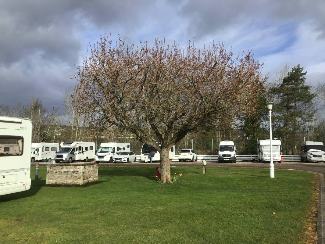 Torvean Caravan Park — 露营地 in Inverness