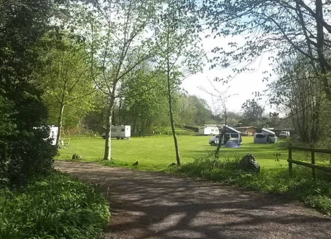 Brook Lodge Farm Camping & Caravan Park — 露营地 in 