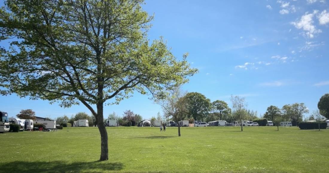 Honeybridge Park — Camping in Dial Post/Horsham / England