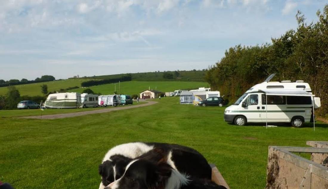 Halse Farm Caravan and Tent Park — Campingplads in Winsford/Exmoor / England