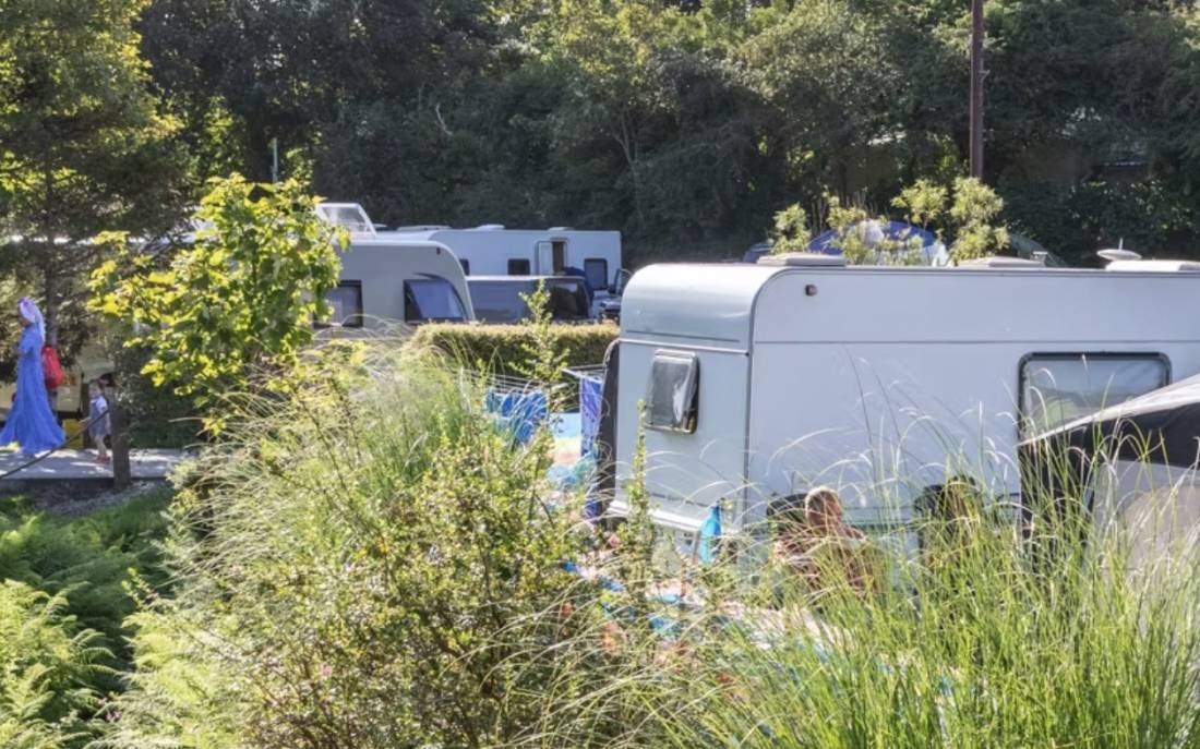 Calloose Holiday Park — Camping Site in Hayle