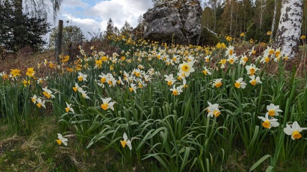 Faichemard Farm Touring (18+) — Photo 4