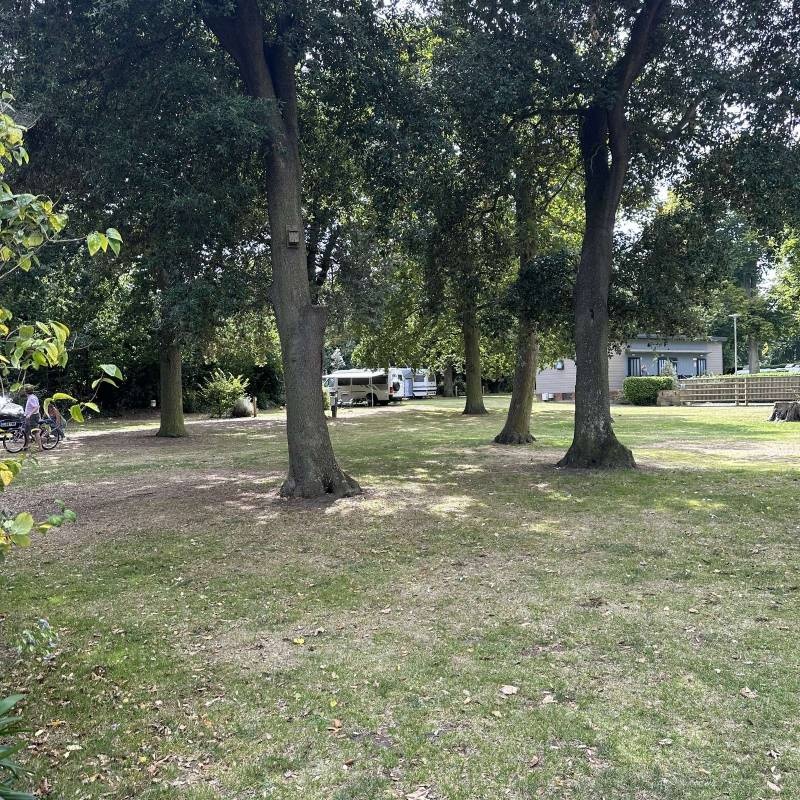Quex Holiday Park & Campsite — Area da campeggio in  / England