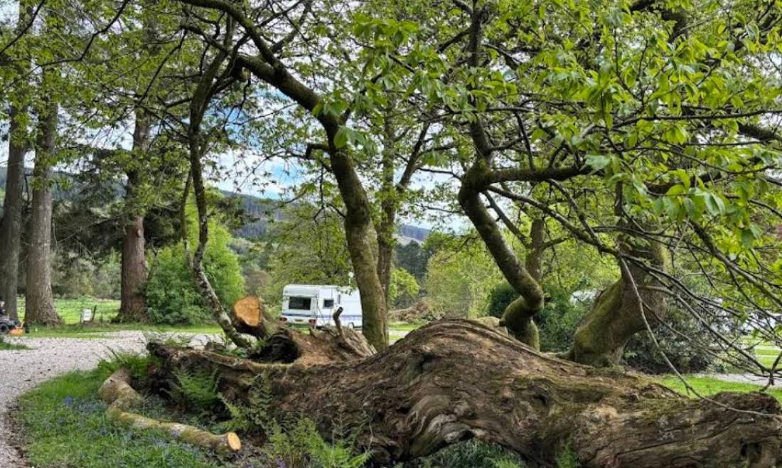 Glendaruel Caravan Park — Camping in Glendaruel/Argyll