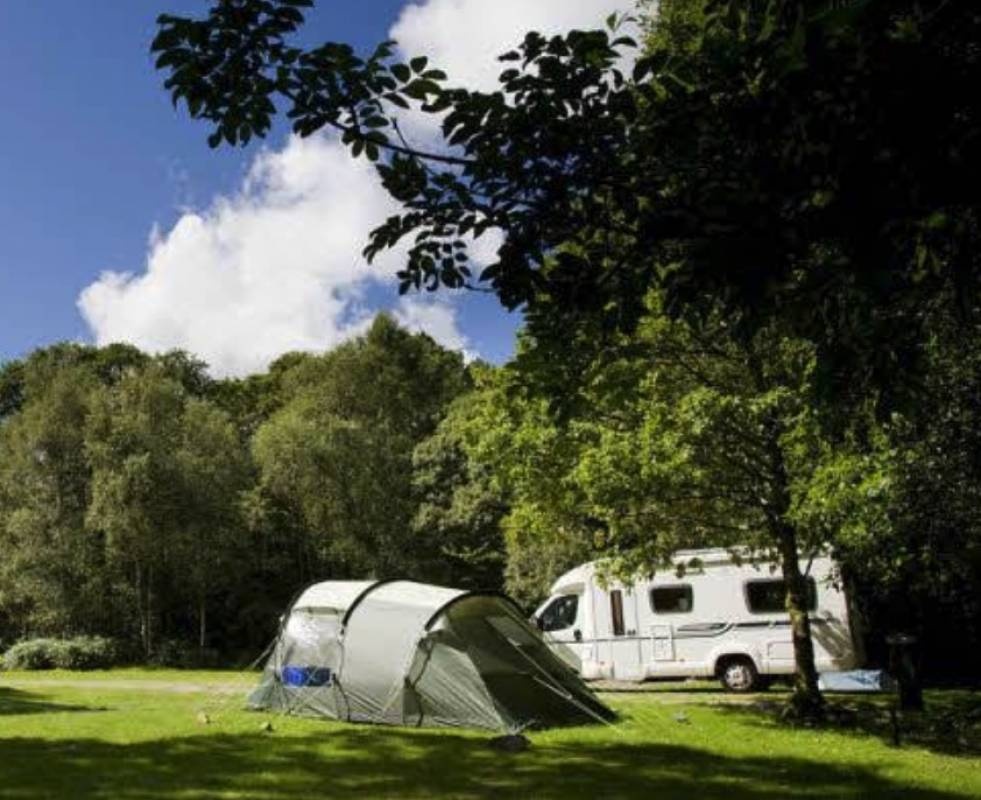 Coniston Park Coppice — Sítio de acampamento in Coniston / Cumbria / England