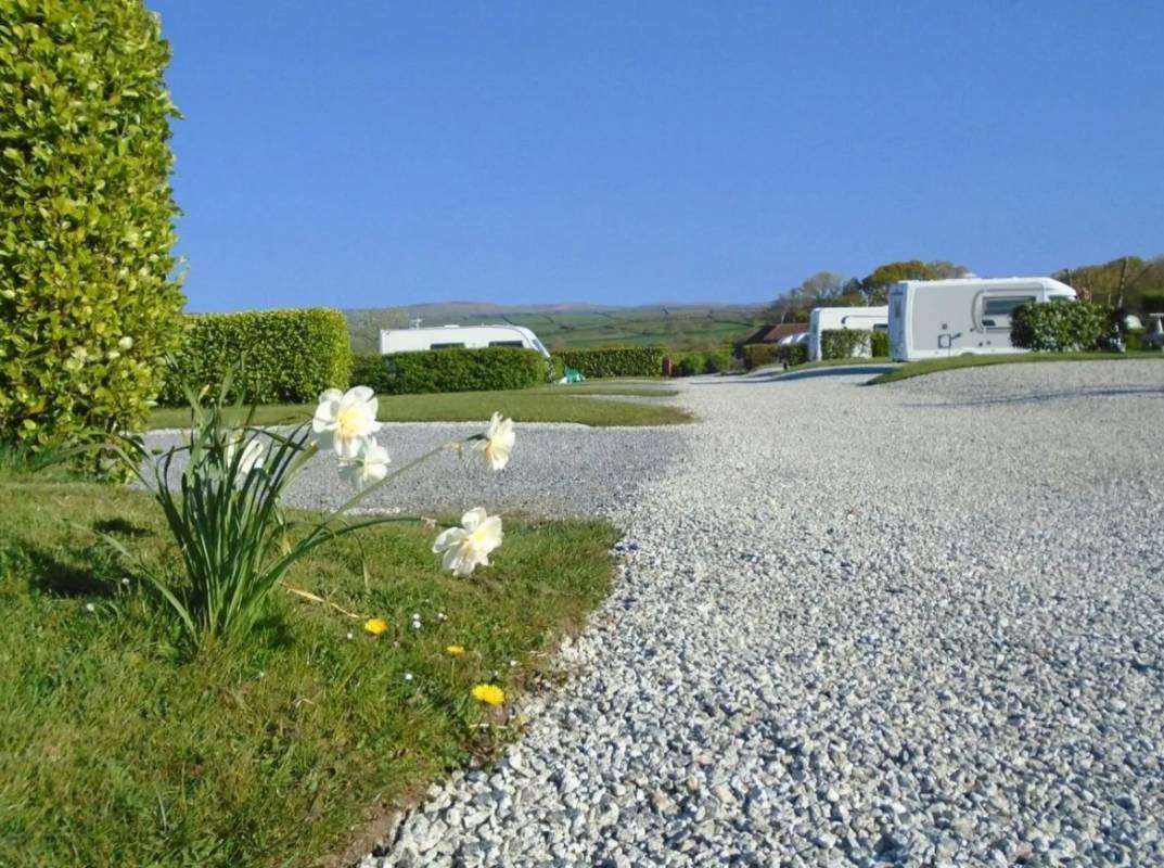 Moor View Touring Park — Cámping in Modbury / England