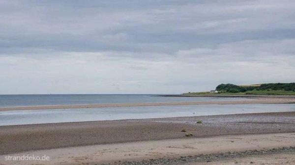 Sands of Luce Holiday Park — Photo 3