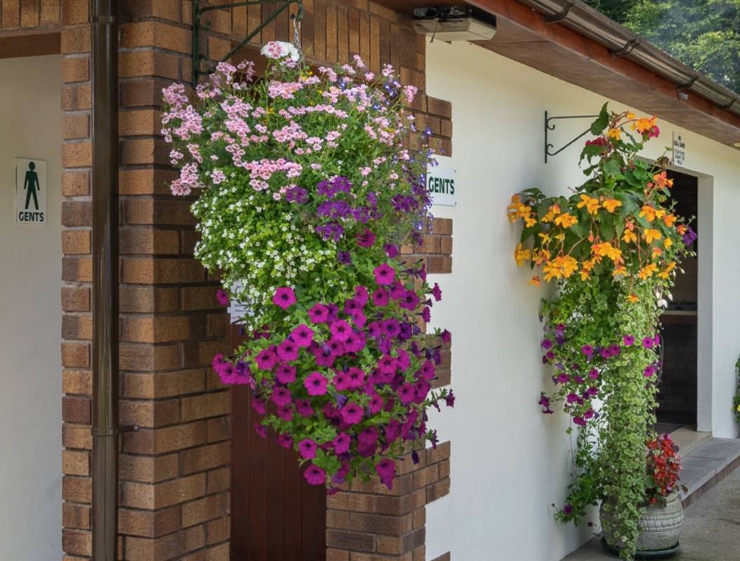 Cenarth Falls Resort — Kemping in Cenarth/Newcastle Emlyn 