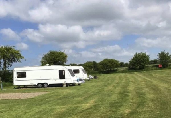 Brynawelon Touring & Camping Park — Photo 4