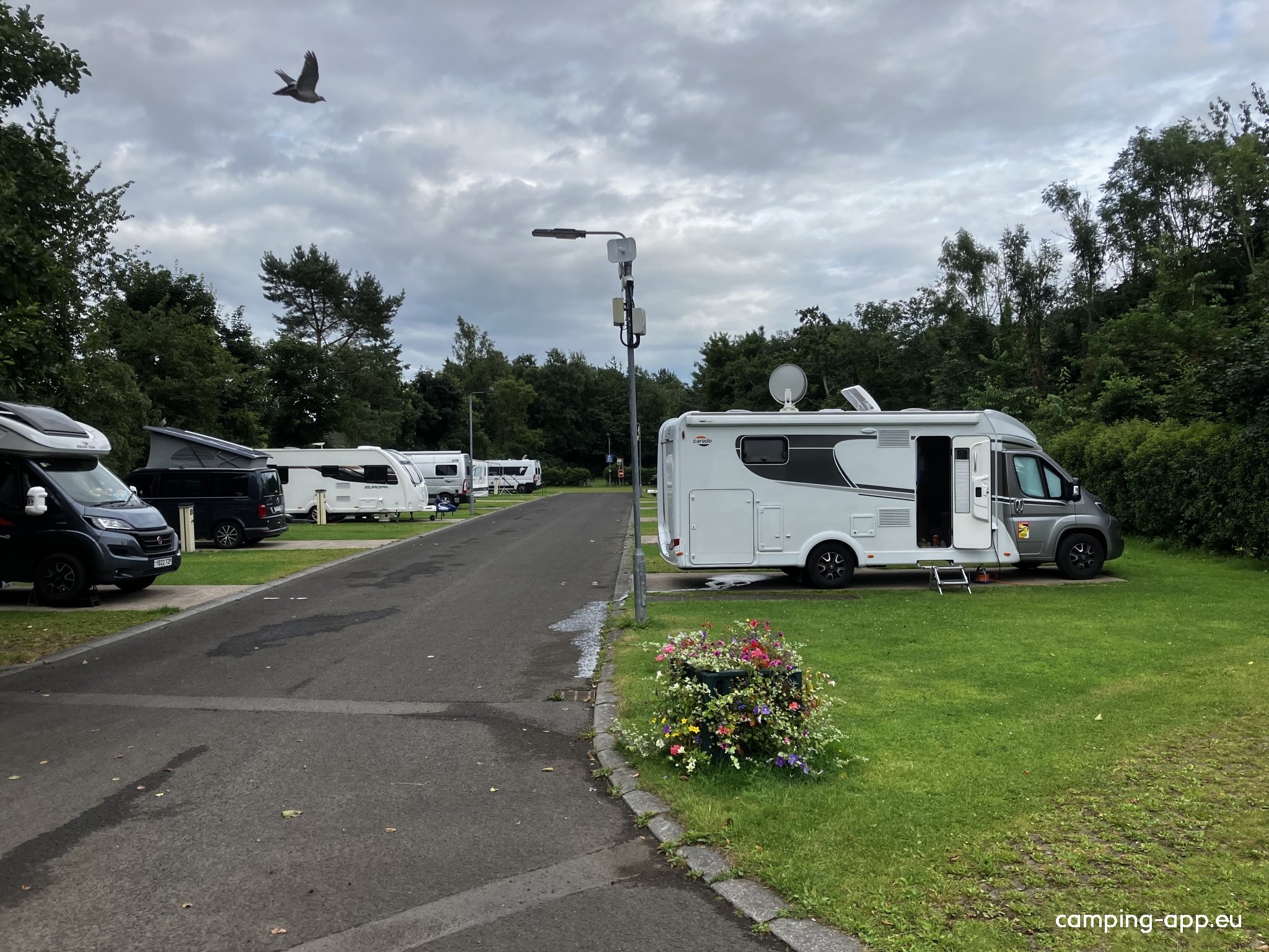 Dundonald Touring Caravan Park — Campingplats in Castlereagh / Northern Ireland