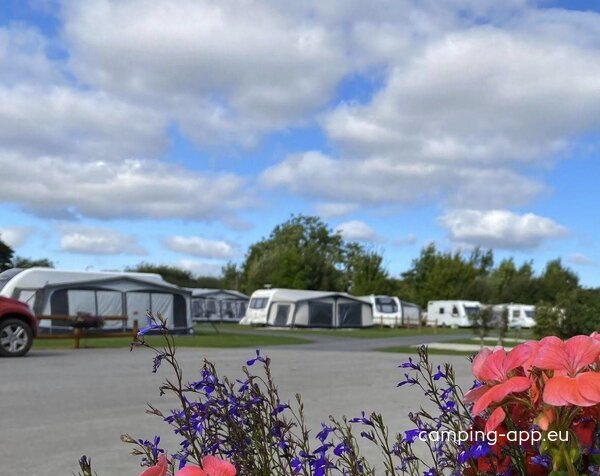 York Meadows Caravan & Camping Park — Foto 2