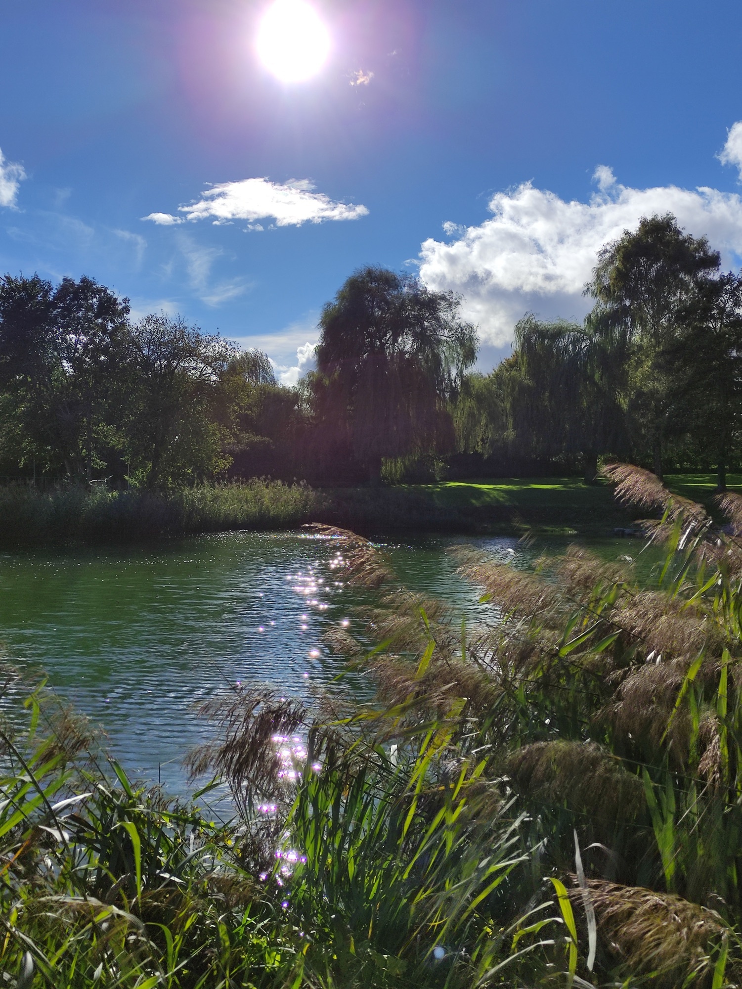 Hegau-Family-Camping — Kemp in Tengen / Baden-Württemberg