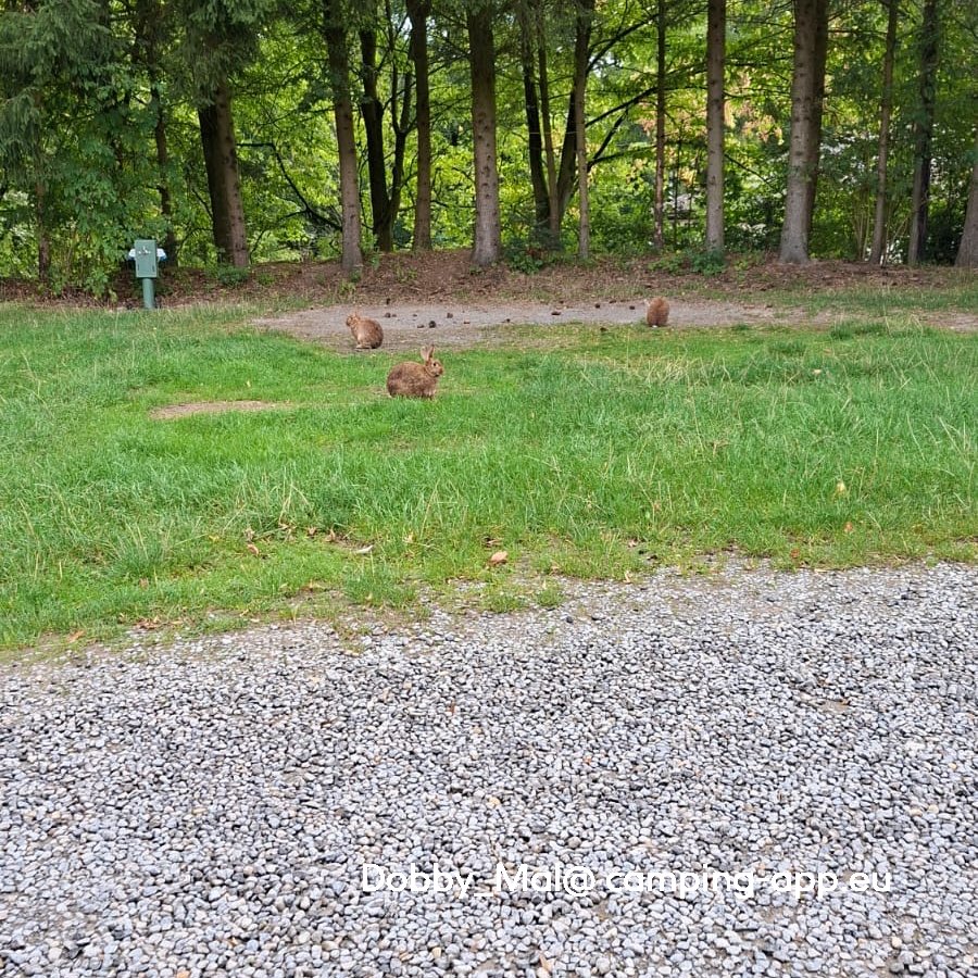 Campingpark Extertal — Fotoğraf 2