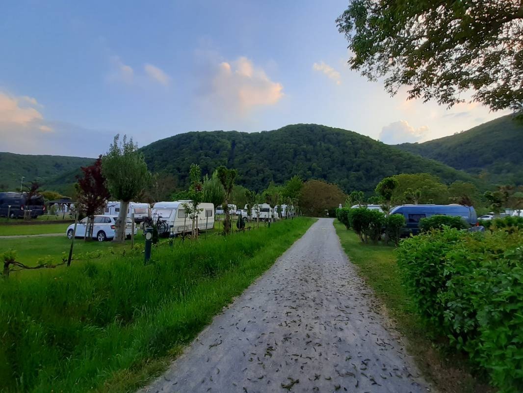 Family-Camping — Kemp in Mesenich/Cochem / Rheinland-Pfalz
