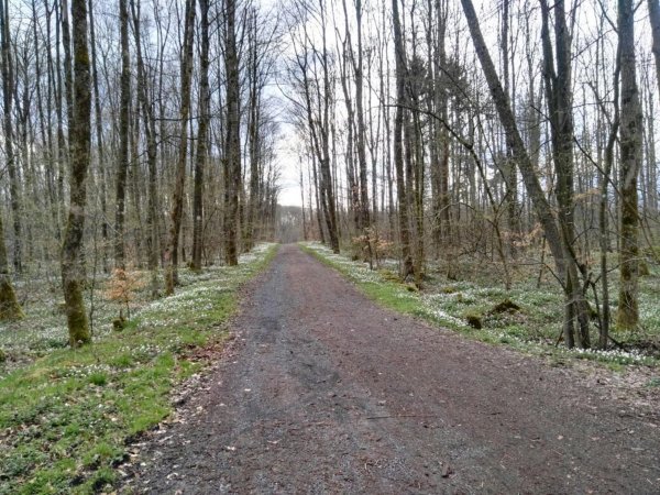 Camping Park Weiherhof — Photo 2