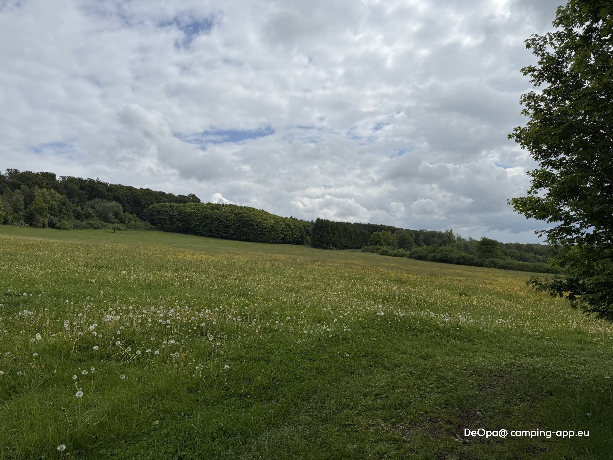 Camping Park Weiherhof — Foto 2