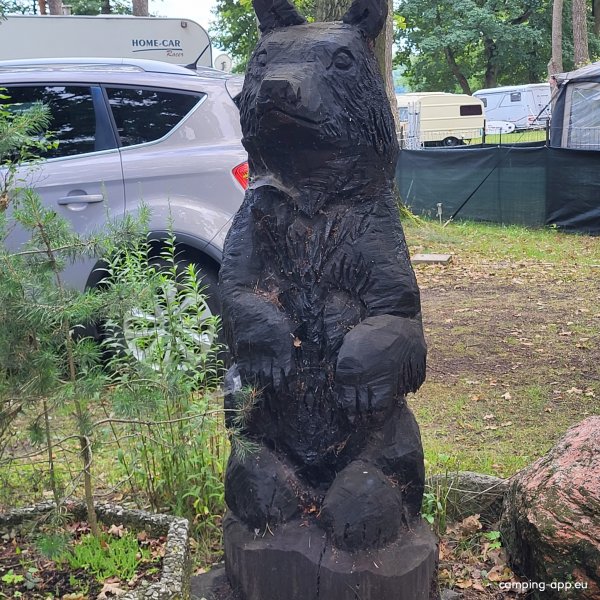 Camping at Lake Dobbertiner — Photo 6