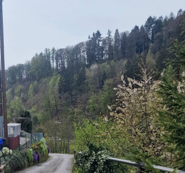 Camp Kyllburg — Photo 4