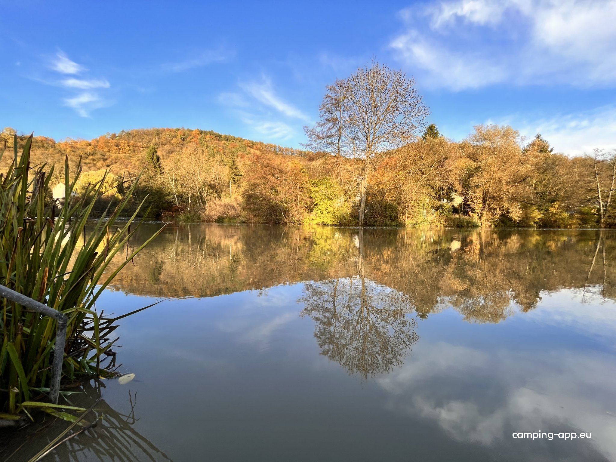 Nied | Camping Siersburg — Foto 3
