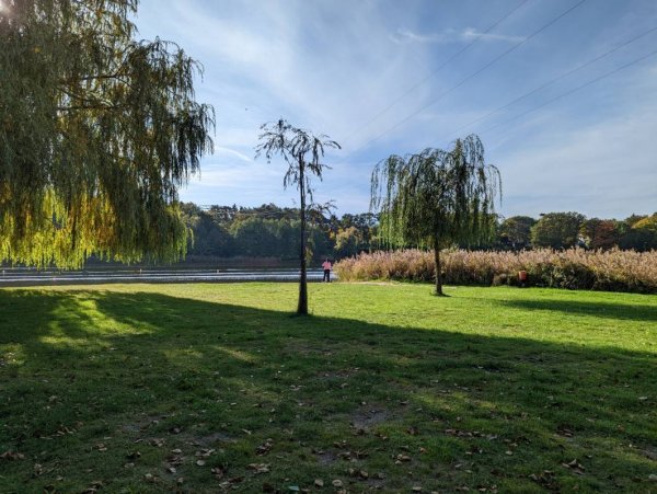 Campingpark Buntspecht — Photo 2