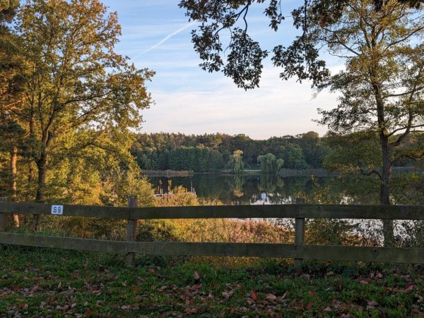 Campingpark Buntspecht — Photo 3