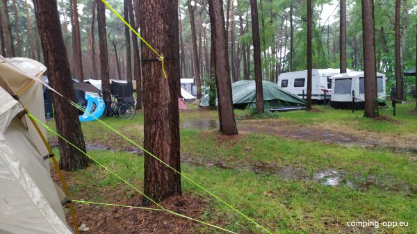 Regenbogen Nonnevitz — Photo 5