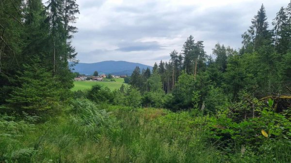 Campingplatz Kapfelberg — Photo 5