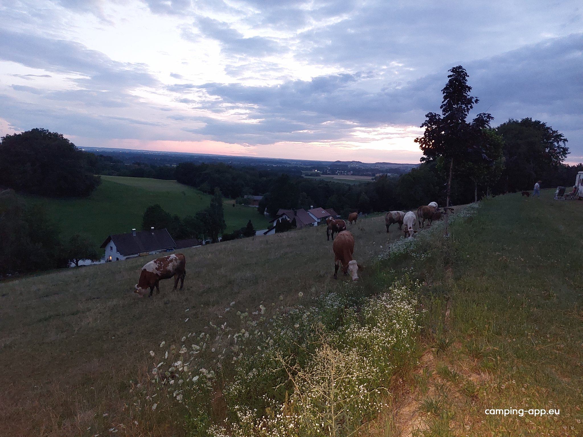Campingplatz Kapfelberg — Photo 3