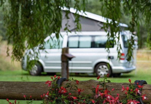 Zelten am Ostgraben (max. 5m) — Photo 5