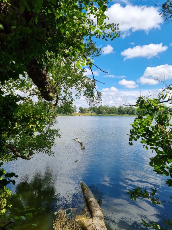 Seecamp am Oderbruch — Foto 5